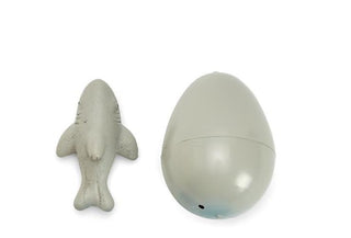 Grow Your Own Shark - Hatching Shark Egg, Two's Company, EB Boy, EB Girls, Grow Your Own Shark, Hatching Shark Egg, Shark, Sharks, Stocking Stuffer, Stocking Stuffers, Two's Company, Toys - B