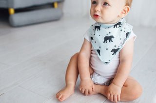 Copper Pearl Archer Bandana Bib Set, Copper Pearl, Baby Shower, Baby Shower Gift, Bandana Bib Set, Bandana Bibs, Bandanna Bibs, Copper Pearl, Copper Pearl Archer, Copper Pearl Archer Bandana 
