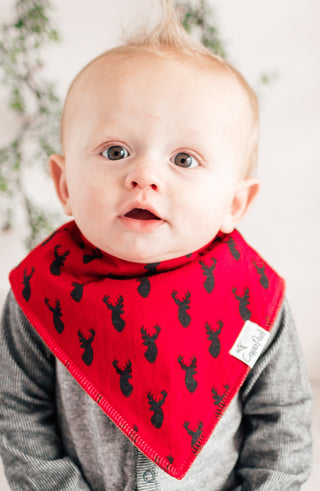 Copper Pearl Nicholas Bandana Bib Set, Copper Pearl, All Things Holiday, Baby Shower, Baby Shower Gift, Bandana Bib Set, Bandana Bibs, Bandanna Bibs, Copper Pearl, Copper Pearl Bandanna Bibs,