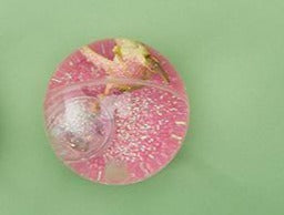 Dinosaur Light Up Glitter Bouncing Ball, Two's Company, Bouncy Ball, Cupcakes & Cartwheels, Dino, Dinos, Dinosaur, Dinosaur Bouncy Ball, Dinosaurs, EB Boy, EB Boys, EB Girls, Stocking Stuffer