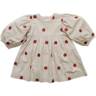 Pink Chicken Pumpkin Embroidery Girls Bea Dress, Pink Chicken, Bea Dress, Big Girls Clothing, cf-size-2y, cf-size-4y, cf-type-dress, cf-vendor-pink-chicken, Dress, Dress for Girls, Dresses fo