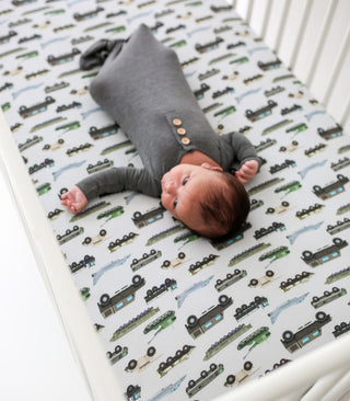 Posh Peanut Cash Crib Sheet, Posh Peanut, Bamboo Crib Sheet, Crib Sheet, Fitted crib Sheet, Posh Peanut Cash, Posh Peanut Cash Crib Sheet, Posh Peanut Crib Sheet, Posh Peanut Fall 2020, Posh 
