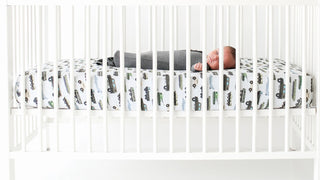 Posh Peanut Cash Crib Sheet, Posh Peanut, Bamboo Crib Sheet, Crib Sheet, Fitted crib Sheet, Posh Peanut Cash, Posh Peanut Cash Crib Sheet, Posh Peanut Crib Sheet, Posh Peanut Fall 2020, Posh 