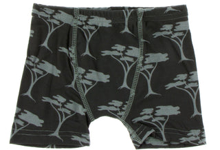 KicKee Pants Succulent Kenya Stripe & Zebra Acacia Trees Boxer Briefs Set, KicKee Pants, Boys Boxer Brief Set, Boys Boxer Briefs Set, Boys Boxers, CM22, Els PW 8598, Kenya, KicKee, KicKee Pan