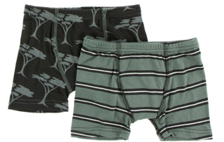 KicKee Pants Succulent Kenya Stripe & Zebra Acacia Trees Boxer Briefs Set, KicKee Pants, Boys Boxer Brief Set, Boys Boxer Briefs Set, Boys Boxers, CM22, Els PW 8598, Kenya, KicKee, KicKee Pan