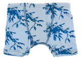 KicKee Pants Oceanography Stripe & Pond Leafy Sea Dragon Boxer Briefs Set, KicKee Pants, Boys Boxer Brief Set, Boys Boxer Briefs Set, Boys Boxers, CM22, Els PW 8598, KicKee, KicKee Boys Boxer