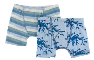 KicKee Pants Oceanography Stripe & Pond Leafy Sea Dragon Boxer Briefs Set, KicKee Pants, Boys Boxer Brief Set, Boys Boxer Briefs Set, Boys Boxers, CM22, Els PW 8598, KicKee, KicKee Boys Boxer