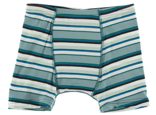 KicKee Pants Ivy Milk & Multi Agriculture Stripe Boxer Brief Set, KicKee Pants, Boxer Briefs, Boys Boxer Brief Set, Boys Boxer Briefs Set, Boys Boxers, CM22, Els PW 8598, KicKee, KicKee Boxer
