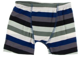 KicKee Pants Flag Blue Big Cats & Zoology Stripe Boys Boxer Brief Set, KicKee Pants, Boxer Brief, Boxer Briefs, Boys Boxer Brief Set, Boys Boxer Briefs Set, Boys Boxers, CM22, Els PW 8598, Ki