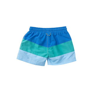 Prodoh Blue Perennial Colorblock Swim Trunks, Prodoh, Boys Swim, CM22, Colorblock Swim Trunks, JAN23, Prodoh, Prodoh  Swim Trunks, Prodoh Blue Perennial Colorblock, Prodoh Stripe Swim Trunks,