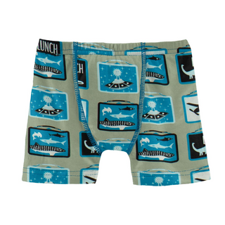 KicKee Pants Silver Sage Lunchboxes Boys Boxer Brief, KicKee Pants, Boxer Brief, Boxer Briefs, CM22, Els PW 8598, KicKee, KicKee Boxer Brief, KicKee Pants, KicKee Pants Boxer Briefs, KicKee P