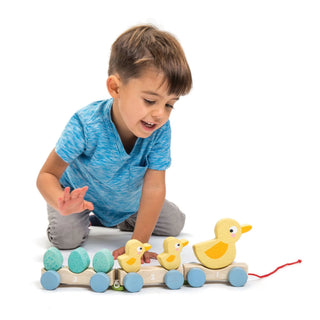 Tender Leaf Toys Pull Along Ducks, Tender Leaf Toys, Classic Wooden Toy, Pull Along Ducks, Tender Leaf, Tender Leaf Toy, Tender Leaf Toys, Tender Leaf Toys Pull Along Ducks, Tenderleaf, Tende