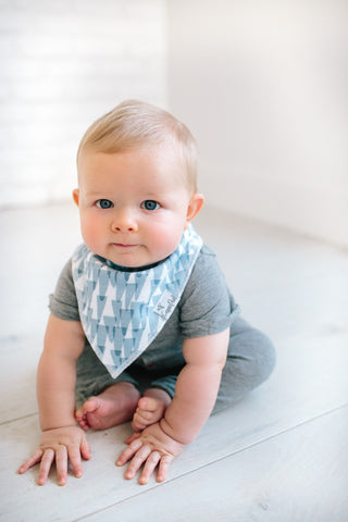 Copper Pearl Arctic Bandana Bib Set, Copper Pearl, Baby Shower, Baby Shower Gift, Bandana Bib Set, Bandana Bibs, Bandanna Bibs, Copper Pearl, Copper Pearl Arctic, Copper Pearl Arctic Bandana 