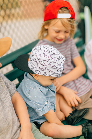 Cash & Co Dino Hat, Cash & Co, Boy Hat, Boys Hat, Cash & Co Dino Hat, Cash & Co Hat, Cash & co., Cash & Company Dino, Cash & Company Dino Hat, Cash and Company, cf-size-medium-2t-5t, cf-size-