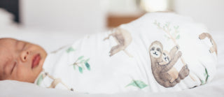Copper Pearl Noah Knit Swaddle Blanket, Copper Pearl, Copper Pearl, Copper Pearl Noah, Copper Pearl Noah Knit Swaddle Blanket, Copper Pearl Sloth, Copper Pearl Swaddling Blanket, Knit Swaddle