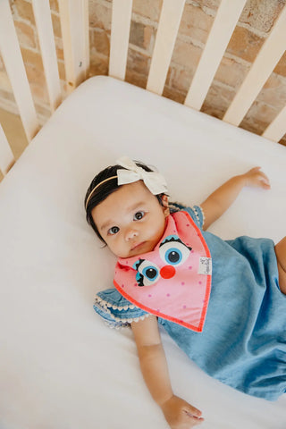 Copper Pearl Sesame Street Abby and Pals bib set featuring colorful fabric and adjustable closures for babies.