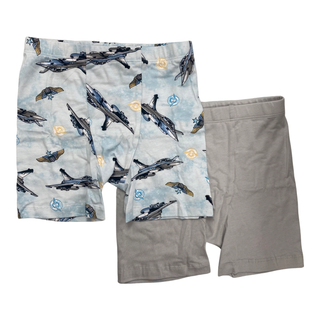 Esme Jets Boy's Boxer 2 Pack, Esme, Boy underwear, Boys Boxer Brief Set, Boys Boxers, cf-size-large-7-8, cf-type-boxer-brief, cf-vendor-esme, Els PW 8598, Esme, Esme Boxer, Esme Boxers, Esme 