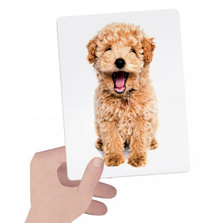 Headu Flashcards Tactile Montessori, Headu, cf-type-games, cf-vendor-headu, EB Baby, EB Boy, EB Boys, EB Girls, Flash Cards, Game, Headu, Headu Flash Cards, Montessori, Montessori Learning, T