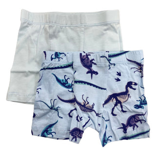 Esme Blue Fossil Boy's Boxer 2 Pack, Esme, Blue Fossil Boy's Boxer 2 Pack, Boy underwear, Boy's Boxer 2 Pack, Boys Boxer Brief Set, Boys Boxers, cf-size-large-7-8, cf-size-medium-6, cf-type-b