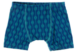 KicKee Pants Botany Grasshopper Stripe & Navy Leaf Lattice Boys Boxer Brief Set, KicKee Pants, Botany, Boys Boxer Brief Set, Boys Boxer Briefs Set, Boys Boxers, CM22, Els PW 8598, KicKee, Kic